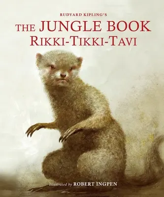 A dzsungel könyve: Rikki-Tikki-Tavi: Robert Ingpen illusztrált klasszikusa - The Jungle Book: Rikki-Tikki-Tavi: A Robert Ingpen Illustrated Classic