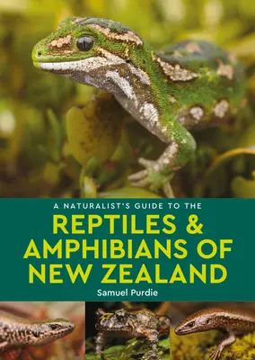 A Naturalist's Guide to the Reptiles & Amphibians of New Zealand (Új-Zéland hüllők és kétéltűek kézikönyve) - A Naturalist's Guide to the Reptiles & Amphibians of New Zealand