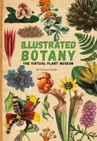 Illusztrált növénytan - A virtuális növénymúzeum - Illustrated Botany - The Virtual Plant Museum