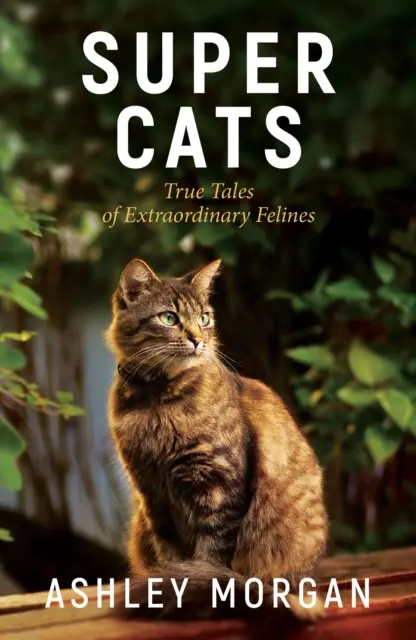 Szuper macskák: Igaz történetek különleges macskafélékről - Super Cats: True Tales of Extraodinary Felines