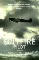 Spitfire Pilot