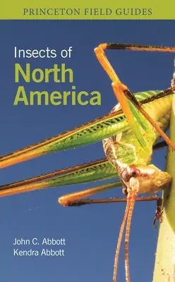 Észak-Amerika rovarai - Insects of North America