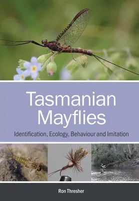 Tasmániai majmok: Azonosítás, ökológia, viselkedés és utánzás - Tasmanian Mayflies: Identification, Ecology, Behaviour and Imitation