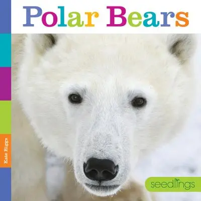 Magoncok: Jegesmedvék - Seedlings: Polar Bears