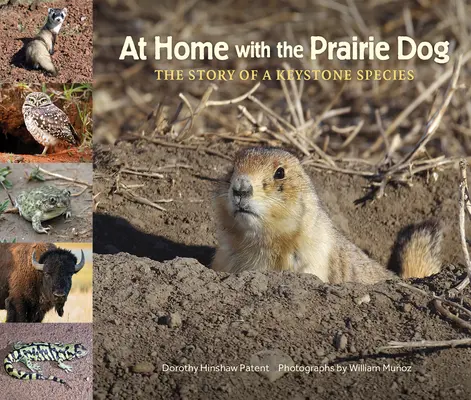 Otthon a prérikutyával: Egy kulcsfontosságú faj története - At Home with the Prairie Dog: The Story of a Keystone Species