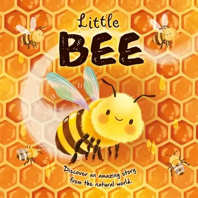 Természetmesék: Kis méhecske: Padded Board Book - Nature Stories: Little Bee: Padded Board Book