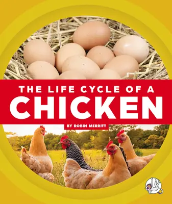 Egy csirke életciklusa - The Life Cycle of a Chicken