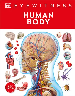 Eyewitness Emberi test - Eyewitness Human Body