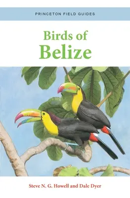 Belize madarai - Birds of Belize