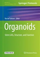 Organoidok: őssejtek, szerkezet és funkció - Organoids: Stem Cells, Structure, and Function