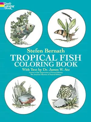 Trópusi halak színezőkönyv - Tropical Fish Coloring Book