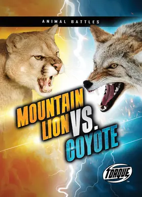 Hegyi oroszlán kontra prérifarkas - Mountain Lion vs. Coyote