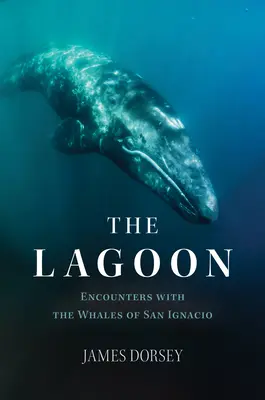 A lagúna: Találkozások a San Ignacio-i bálnákkal - The Lagoon: Encounters with the Whales of San Ignacio