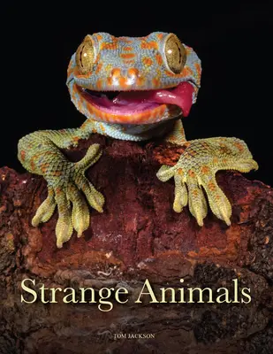 Furcsa állatok - Strange Animals