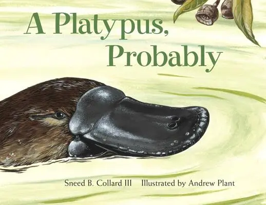 Valószínűleg egy víziló - A Platypus, Probably