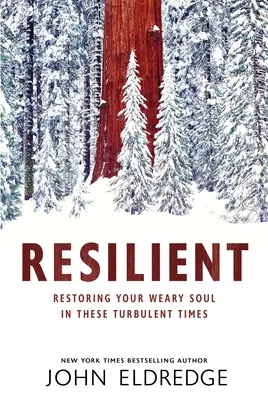 Resilient: A fáradt lelked helyreállítása ezekben a viharos időkben - Resilient: Restoring Your Weary Soul in These Turbulent Times