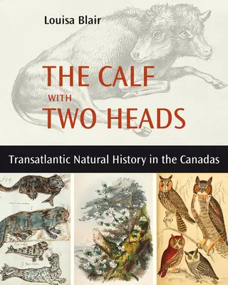 A kétfejű borjú: Transzatlanti természetrajz a Kanadában - The Calf with Two Heads: Transatlantic Natural History in the Canadas