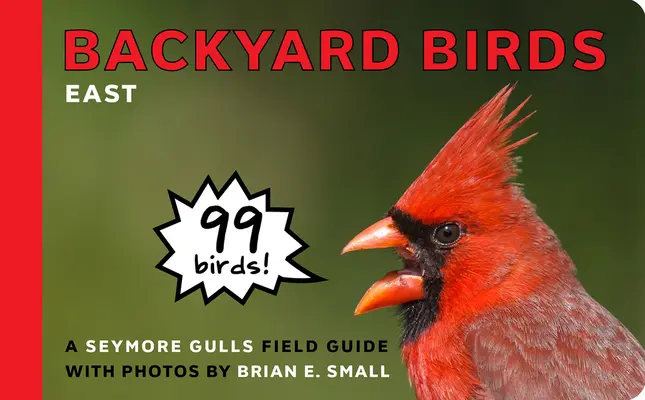 Backyard Birds: Kelet - Backyard Birds: East