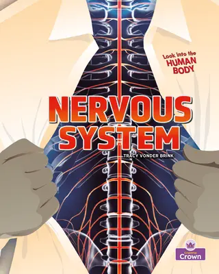 Idegrendszer - Nervous System