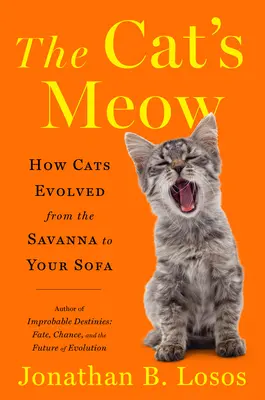 A macska nyávogása: Hogyan fejlődtek a macskák a szavannától a kanapédig - The Cat's Meow: How Cats Evolved from the Savanna to Your Sofa