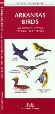 Nebraska Madarak: Bevezetés az ismerős fajok - Nebraska Birds: An Introduction to Familiar Species