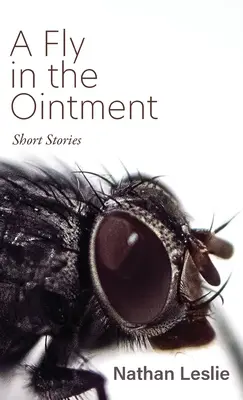 A Fly in the Ointment: Short Stories