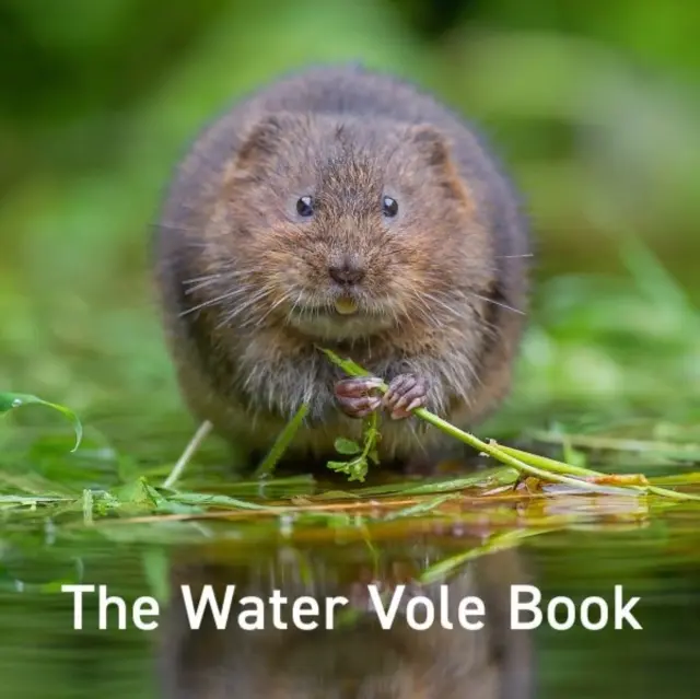 Vízimolnár-könyv - Water Vole Book