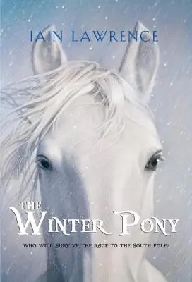 A téli póni - The Winter Pony