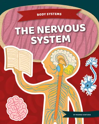 Az idegrendszer - The Nervous System