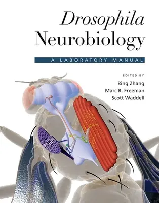 Drosophila neurobiológia: Laboratóriumi kézikönyv - Drosophila Neurobiology: A Laboratory Manual