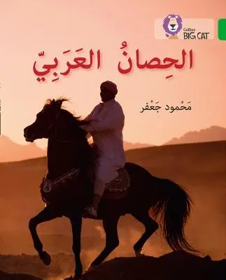 Arab ló - 5. szint - Arabian Horse - Level 5