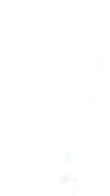 Wild Guide North East England: Kalandok Northumberlandben, a Yorkshire Moorsban és az északi Penninesben - Wild Guide North East England: Adventures in Northumberland, Yorkshire Moors and North Pennines