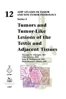 A here és a szomszédos szövetek daganatai és daganatszerű elváltozásai - Tumors and Tumor-Like Lesions of the Testis and Adjacent Tissues