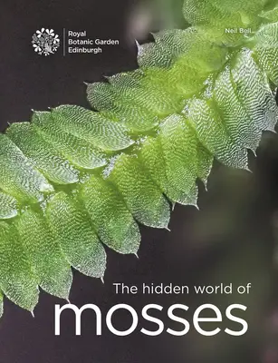 A mohák rejtett világa - The Hidden World of Mosses