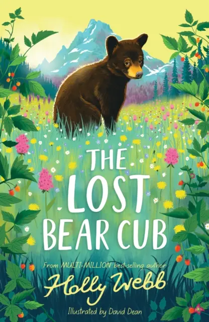 Elveszett medvebocs - Lost Bear Cub