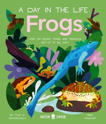 Békák (egy nap az életben): Mit csinálnak a békák, varangyok és ebihalak egész nap? - Frogs (a Day in the Life): What Do Frogs, Toads, and Tadpoles Get Up to All Day?