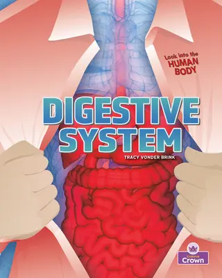 Emésztőrendszer - Digestive System