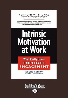 Intrinzik motiváció a munkahelyen: What Really Drives Employee Engagement (Large Print 16pt) - Intrinsic Motivation at Work: What Really Drives Employee Engagement (Large Print 16pt)