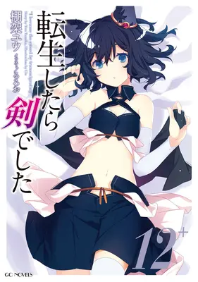 Reincarnated as a Sword (Light Novel) 12. kötet - Reincarnated as a Sword (Light Novel) Vol. 12