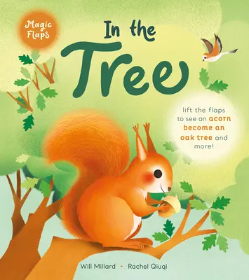 A fán: A Magic Flaps Book - In the Tree: A Magic Flaps Book