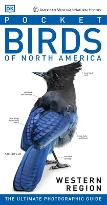 Amnh Pocket Birds of North America Western Region (Észak-Amerika nyugati régiójának madarai) - Amnh Pocket Birds of North America Western Region