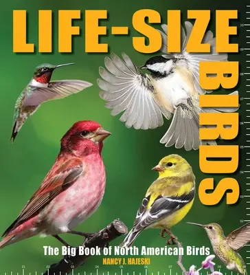 Életnagyságú madarak: The Big Book of North American Birds - Life-Size Birds: The Big Book of North American Birds