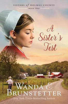 A Sister's Test (A nővér tesztje): Volume 2 - A Sister's Test: Volume 2