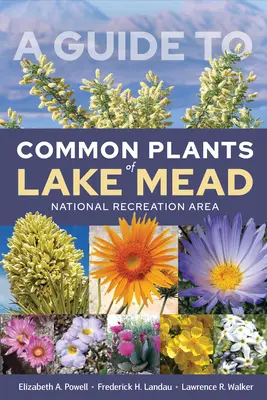 Útmutató a Mead-tó nemzeti rekreációs terület gyakori növényeihez - A Guide to Common Plants of Lake Mead National Recreation Area