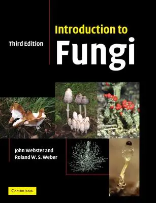 Bevezetés a gombákba - Introduction to Fungi