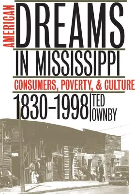 Amerikai álmok Mississippiben: Fogyasztók, szegénység és kultúra, 1830-1998 - American Dreams in Mississippi: Consumers, Poverty, and Culture, 1830-1998