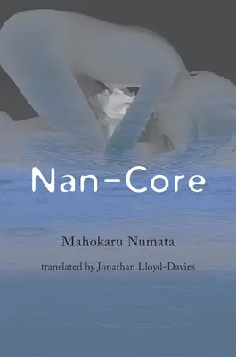 Nano-mag - Nan-Core