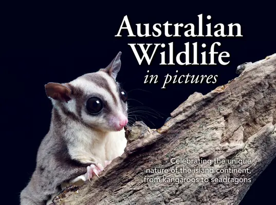 Az ausztrál vadvilág képekben: A szigetkontinens egyedülálló természetének ünneplése a kenguruktól a tengeri sárkányokig - Australian Wildlife in Picture: Celebrating the Unique Nature of the Island Continent, from Kangaroos to Sea Dragons