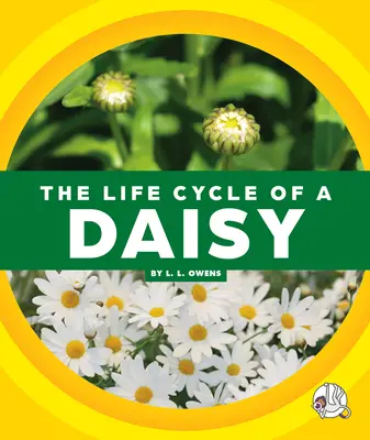 Egy százszorszép életciklusa - The Life Cycle of a Daisy