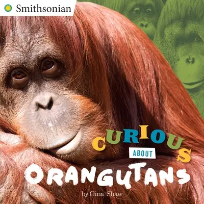 Kíváncsiak az orángutánokra - Curious about Orangutans